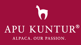 Apu Kuntur Logo
